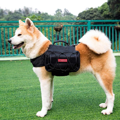 Cool Hiking Backpacks — Dog with the OneTigris Pack.