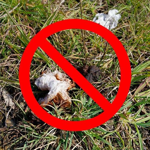 Going to the Bathroom in the Woods — Poop on the Ground.