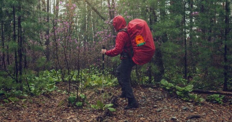 Backpack Rain Cover — Hiker Trekking in a Forest with a Backpack Covered by a Rain Cover.