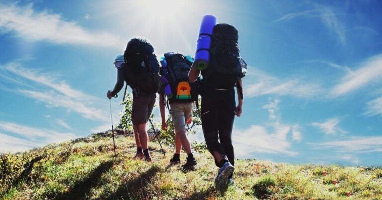 Difference Between Hiking and Backpacking — Hikers Walking on a Trail.