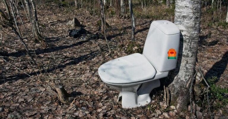 Going to the Bathroom in the Woods — Toilet Seat in the Forest.