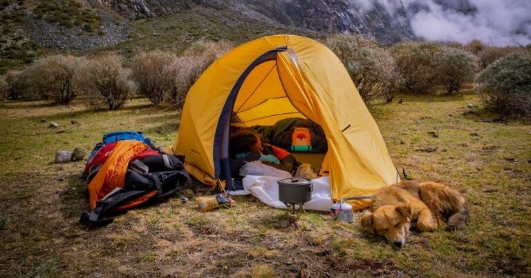 Tips for Camping with a Dog — Camper Sleeping in a Tent with his Dog Nearby.